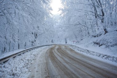 Sabaduri Ormanı yolu karla kaplı. Kış zamanı. Manzara. Georgia