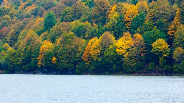 Красивый Осенний Пейзаж Пруду Районе Рача Грузия Природа — стоковое фото