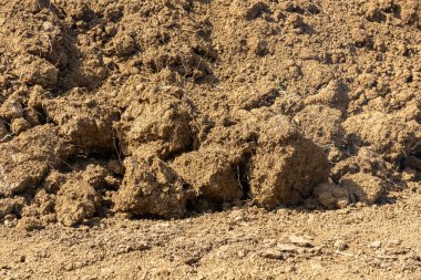 Pile of brown Soil. Construction dirt pile. Industry