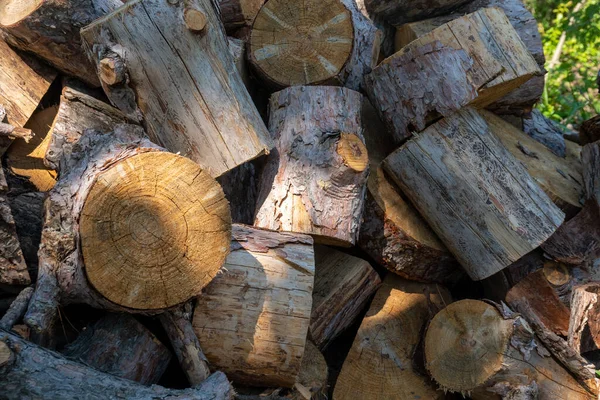 Příprava Palivového Dříví Zimu Zázemí Palivového Dřeva Hromádky Dříví Lese — Stock fotografie