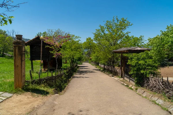 Open Air Enthographical Museum Capital Republic Georgia Tbilisi Culture — Stockfoto