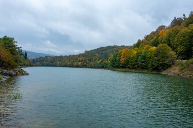 Gürcistan 'ın Racha bölgesinde güzel bir sonbahar manzarası. Doğa
