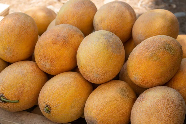 Ripe Melons Lie Counter Street Market Food — Foto de Stock