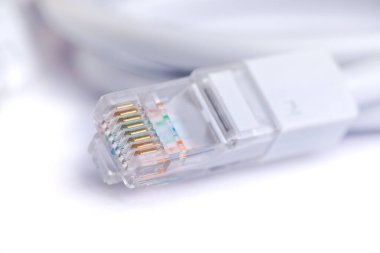 An image of computer network cable on white background. Technology