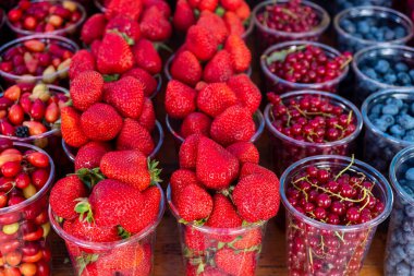 Tbilisi, Georgia - 09 August, 2022: