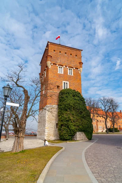 Βασιλικό Wawel Κάστρο Και Πράσινο Κήπο Μέσα Κρακοβία Πολωνία Ταξίδι — Φωτογραφία Αρχείου