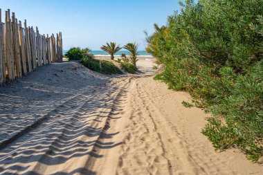Sahile giden yol altın gündoğumunun altında
