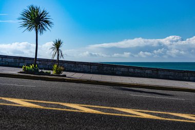 an asphalt climb with palm trees over coastal city