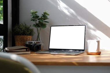 Comfortable workplace with computer laptop, supplies, coffee cup and potted plant on wood table.	