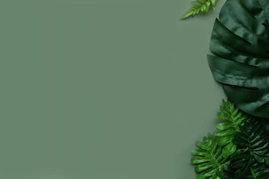 Yeşil arka planda koyu yeşil tropik yapraklar ve fotokopi alanı. Düz yatıyordu. Doğa konsepti.