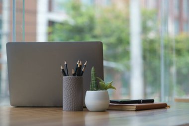 Dizüstü bilgisayar, kalem tutucu, saksı çiçeği ve ahşap ofis masasındaki kitaplar..
