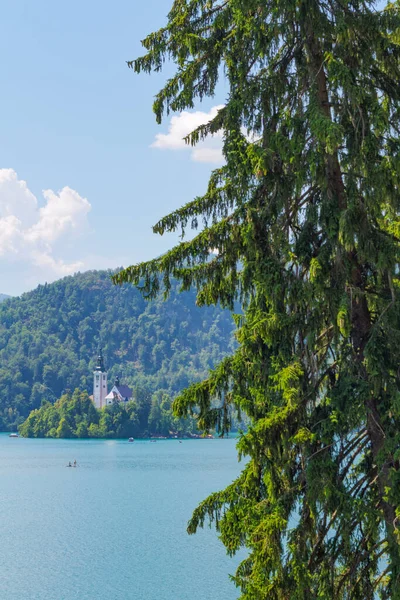 Lake Bled, Slovenia - August 20, 2018: A long distance vertical view of Bled Island in summer, amid a green and blue natural landscape