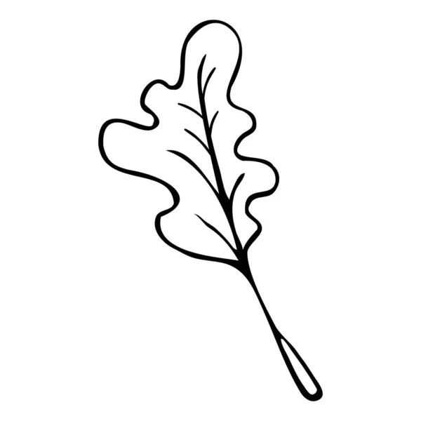 낙서 양식으로 손으로 그린 나뭇잎 삽화. — 스톡 벡터