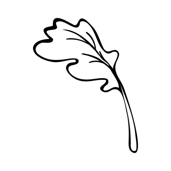 Ilustração folha de árvore desenhada à mão no estilo doodle. — Vetor de Stock