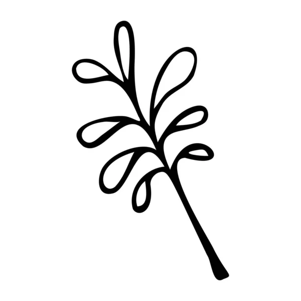 Ręcznie rysowane drzewo liść ilustracja w stylu doodle. — Wektor stockowy
