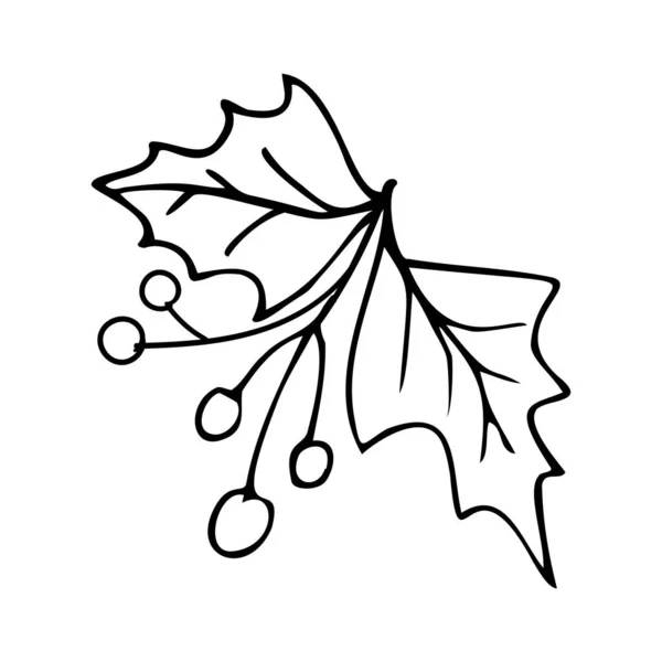 Illustration de feuille d'arbre dessinée à la main dans le style doodle. — Image vectorielle