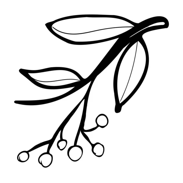 Illustration de feuille d'arbre dessinée à la main dans le style doodle. — Image vectorielle