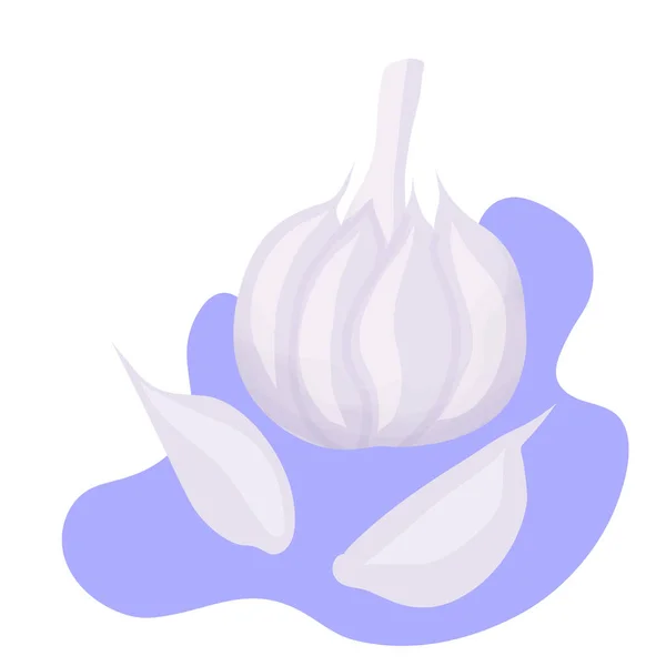 Fresh garlic in cartoon style isolated on background — 图库矢量图片