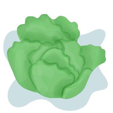 Arka planda izole edilmiş renkli lahanaların parlak çizimi