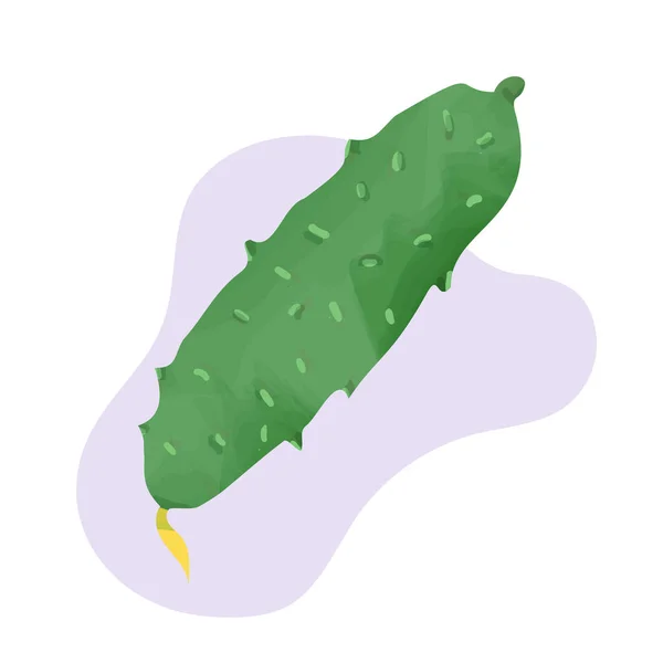 Ilustração de pepino isolada no fundo. Pepino verde — Vetor de Stock