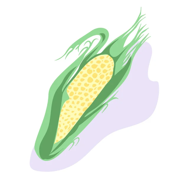 Gelbe Maiskörner. Gesundes und frisches Bio-Gemüse. Vereinzelte Vektorillustrationen im Cartoon-Stil. — Stockvektor