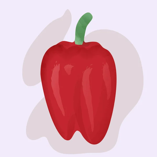 Pimiento rojo dulce, sobre un fondo de color — Vector de stock