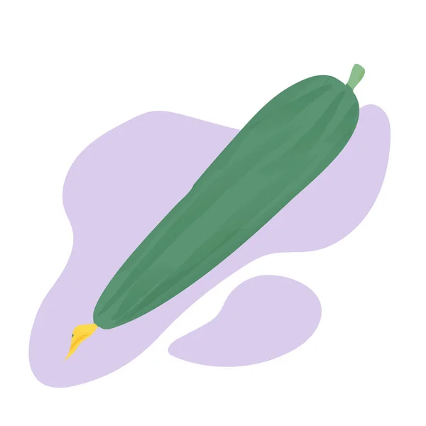 Ilustração de pepino isolada no fundo. Pepino verde — Vetor de Stock