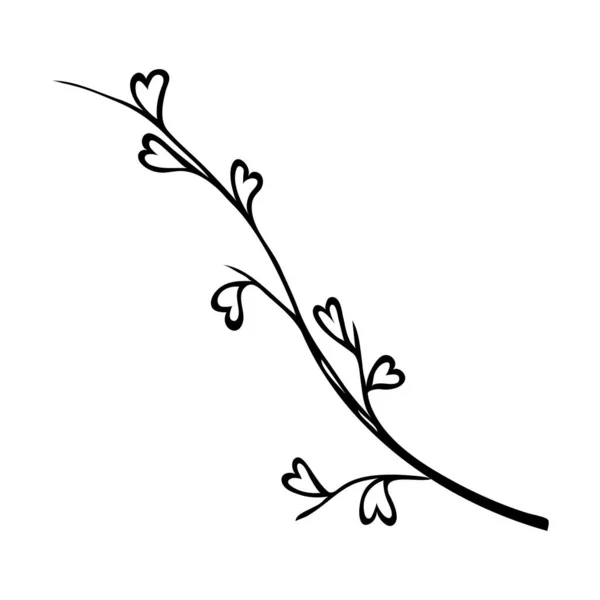Hand drawn doodle branches, plant elements for design. — Vettoriale Stock