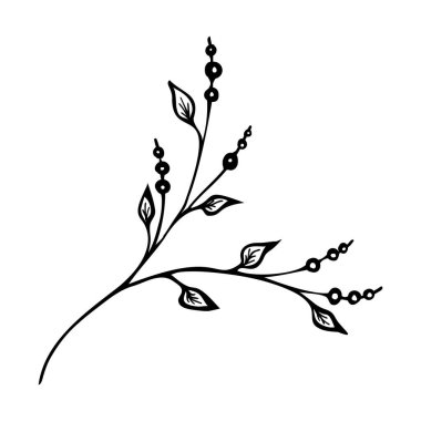 Hand drawn doodle branches, plant elements for design.