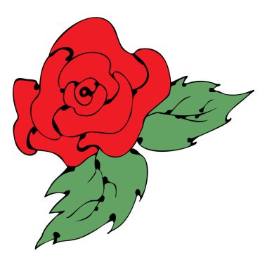 Red rose with leaves hand drawn in doodle style