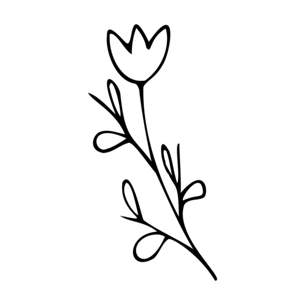 Lindos elementos florales dibujados a mano en estilo doodle — Vector de stock