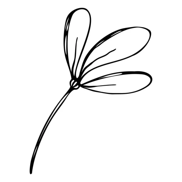 Carino elementi floreali disegnati a mano singola in stile doodle — Vettoriale Stock