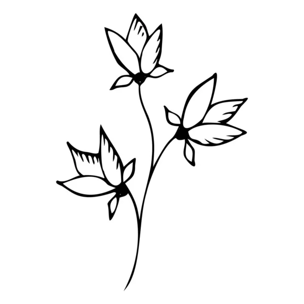 Bonito mão única desenhada elementos florais em estilo doodle — Vetor de Stock