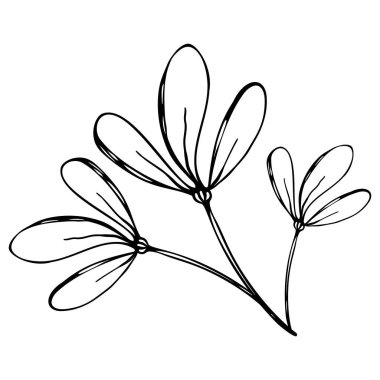 Karalama stilinde güzel, tek elle çizilmiş çiçek elementleri.