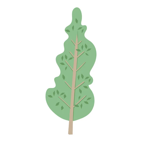 Ilustración dibujada a mano de un árbol verde aislado. Elemento para decoración — Vector de stock