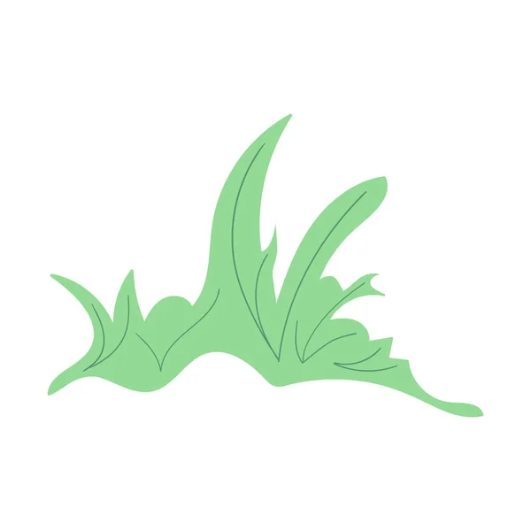 Groene bosstruik, gras geïsoleerd ontwerp element. — Stockvector