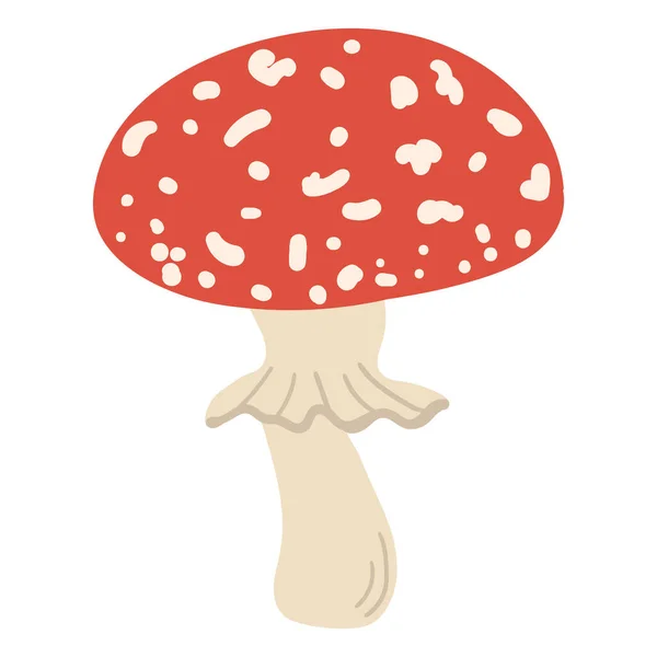 Mano disegno foresta funghi selvatici. Può essere utilizzato per la progettazione di menu, etichetta, distintivo, ricetta, imballaggio. — Vettoriale Stock