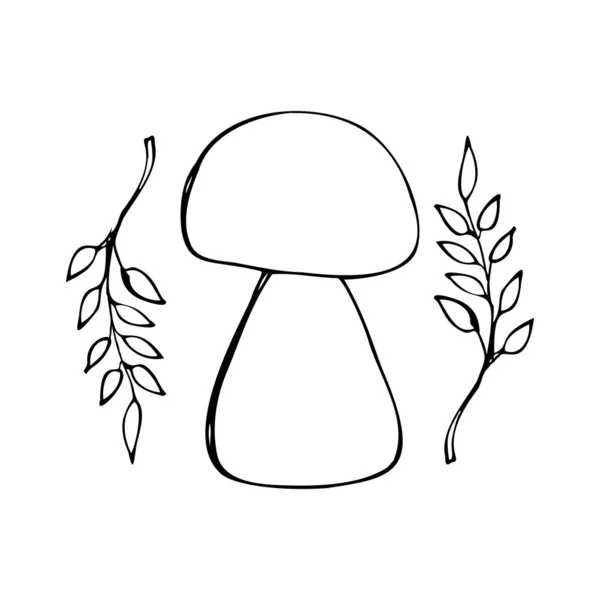 Mão desenho floresta cogumelos selvagens. Pode ser usado para design de menu, rótulo, crachá, receita, embalagem. — Vetor de Stock