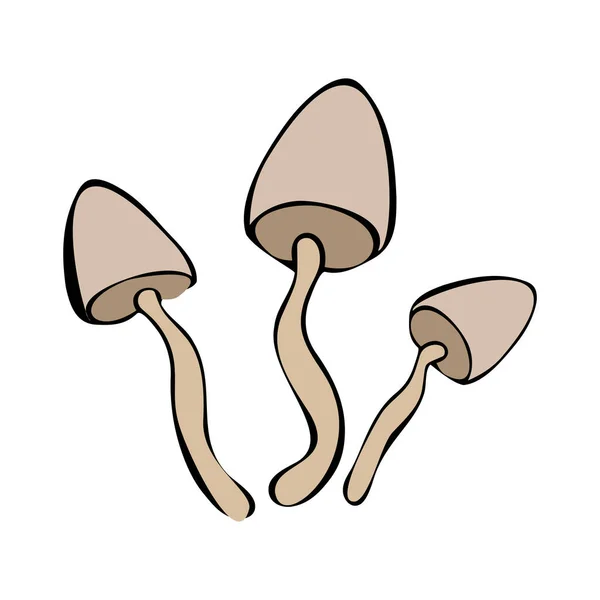 Dessin à la main des champignons sauvages de la forêt. Peut être utilisé pour la conception de menu, étiquette, badge, recette, emballage. — Image vectorielle