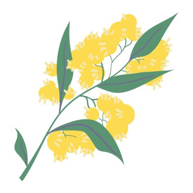 Beyaz arka planda yaprakları olan bir dala el çizimi yabanmersini..