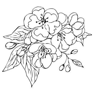 Beyaz arka planda yaprakları olan el çizimi orman çiçekleri..