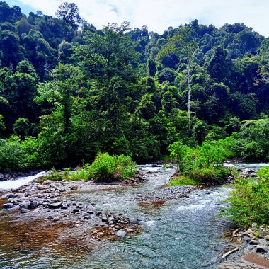 Doğal Sumatra tropikal nehir akışının fotoğrafı