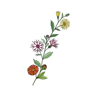 Süslü bir çiçek buketi. Calendula, papatya, papatya. Farklı tasarım için vektör çizim şablonu.