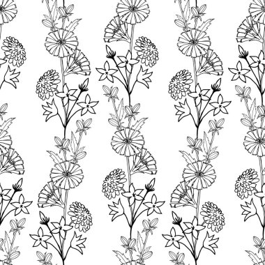 Yaban çiçeklerinin tekrarlayan doğrusal süslemeleriyle kusursuz desen. Hindiba, çan, karahindiba. Siyah çizgili ve beyaz doldurmalı vektör illüstrasyonu.