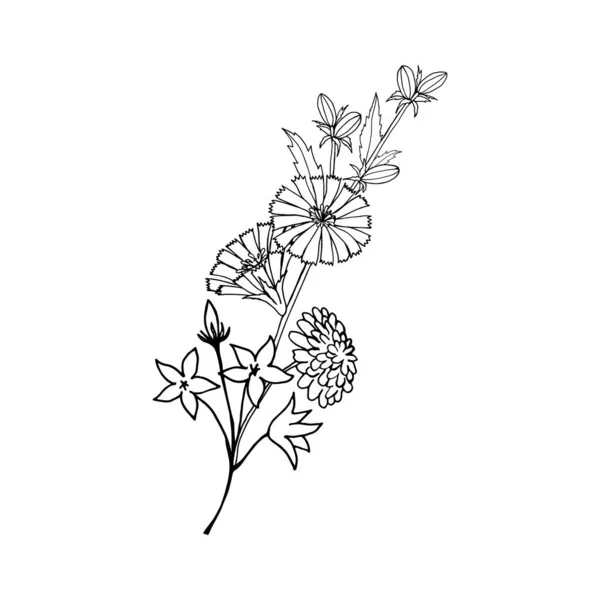 Букет Диких Квітів Цикорію Дзвонів Кульбаби Ізольований Єкт Білому Тлі — стоковий вектор