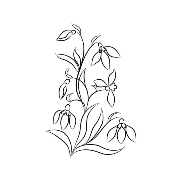 Primera Flor Primaveral Nevada Con Hojas Brotes Tallo Dibujo Línea — Vector de stock
