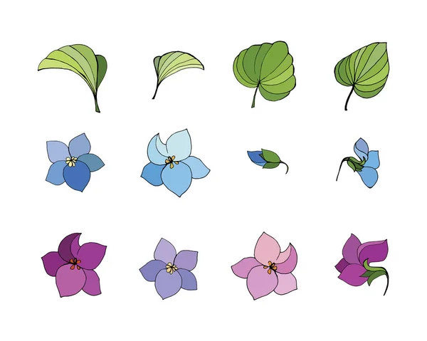 Conjunto Elementos Florais Flores Floresta Violeta Folhas Flores Botões Desenho — Vetor de Stock