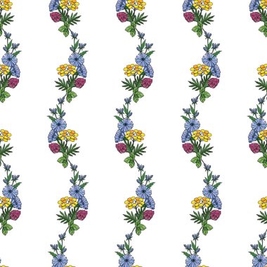 Renkli, pürüzsüz desenli, doğrusal bir çiçek buketi, hindiba, yonca, çizgili bir çizim..