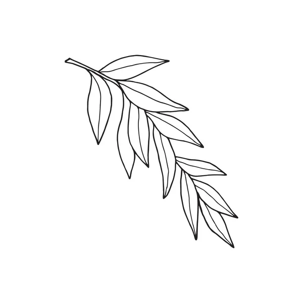 Branche Décorative Avec Longues Feuilles Étroites Dessin Avec Une Doublure — Image vectorielle
