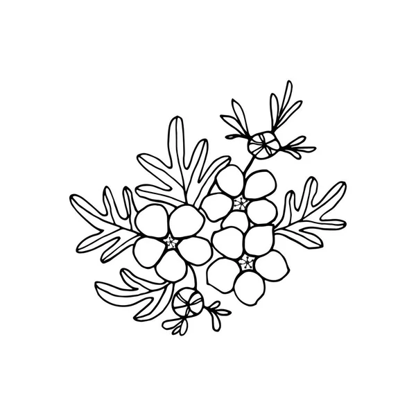 Rama Flores Arbusto Ornamental Cinquefoil Con Flores Brotes Hojas Dibujo — Vector de stock